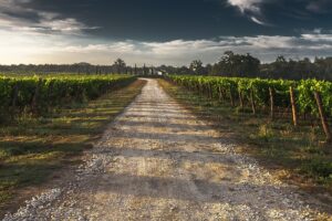 Optimizing Wagga Farms: Top Shed Types for Efficient & Eco-Friendly Agriculture