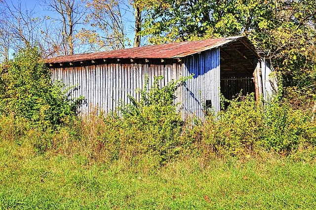 Farm Shed, 