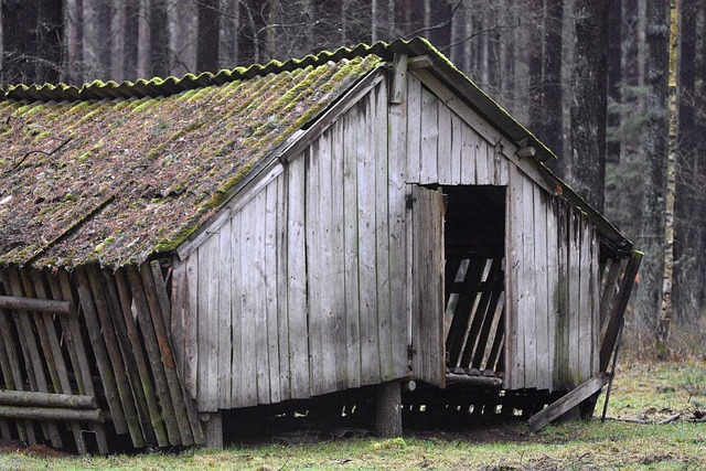 Farm Shed, 