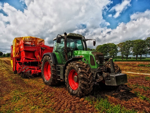 Farm Shed, 