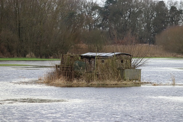 Farm Shed, 