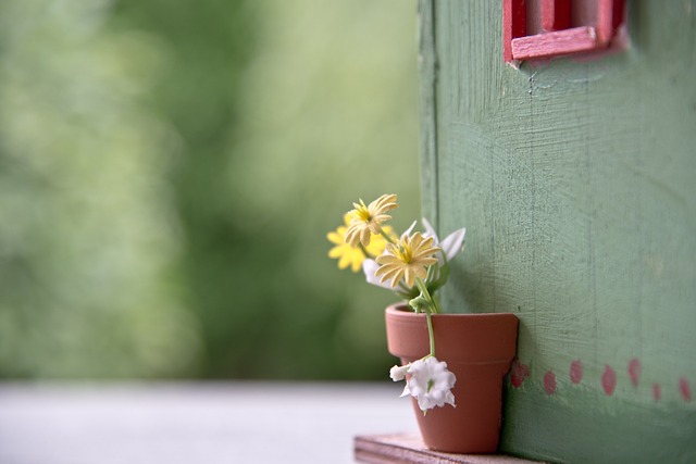 Farm Shed, 