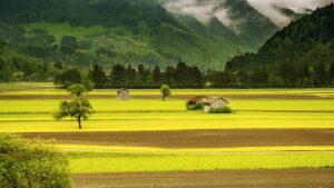 Resilient Farm Shed Solutions for Bathurst’s Agricultural Future