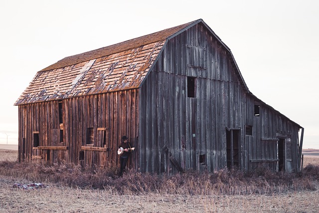 Farm Shed, 
