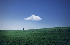 Optimizing Farm Productivity with Customizable Hay Shed Solutions in Wagga Wagga, NSW