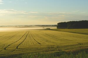 Optimizing Riverina NSW Farm Sheds for Peak Efficiency and Durability