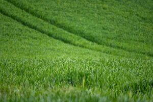 Optimizing Farm Productivity: Expert Guide to Bathurst Shed Builders & Innovative Farm Shed Solutions