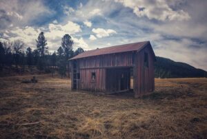 Optimizing Agriculture: The Benefits of Custom Steel Farm Sheds in Wagga Wagga’s Riverina