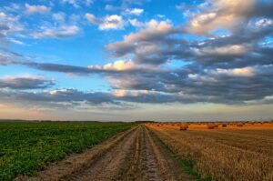 Enhancing Wagga NSW Farm Sheds for Efficient & Humane Livestock Management