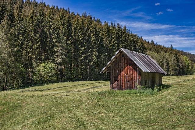 Farm Shed, 