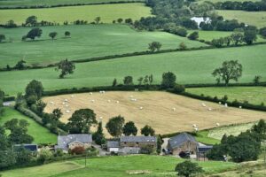 Dependable Farm Shed Solutions for Lockhart Cattle and Equipment Storage