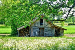 Optimizing Agriculture: The Role of Versatile Farm Sheds in Shepparton’s Rural Efficiency