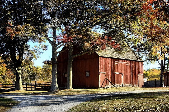 Farm Shed, 
