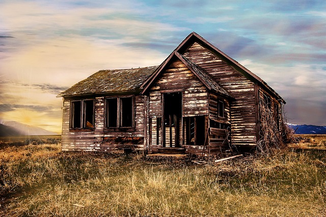 Farm Shed, 