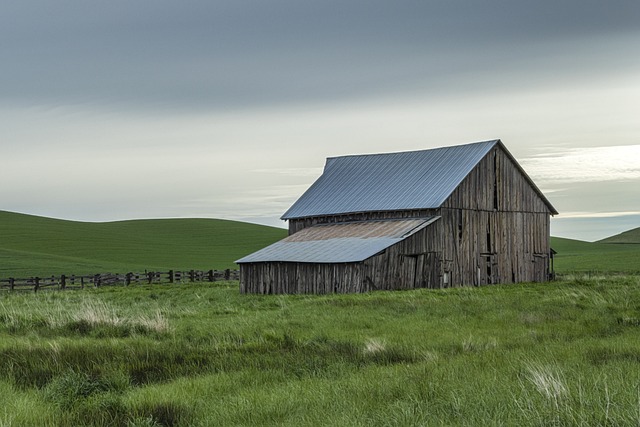 Farm Shed, 