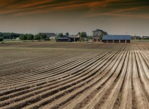Optimizing Rural Spaces: The Benefits of Steel Farm Sheds in Shepparton