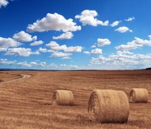 Optimizing Farm Storage in Junee with Robust and Customizable Shed Solutions