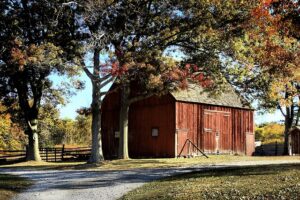 Optimizing Large Farm Sheds for Riverina’s Agricultural Needs