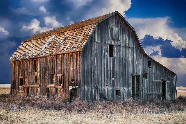 Farm Shed, 