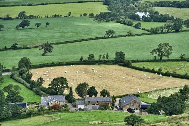 Farm Shed, 