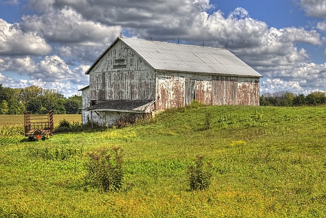 Farm Shed, 