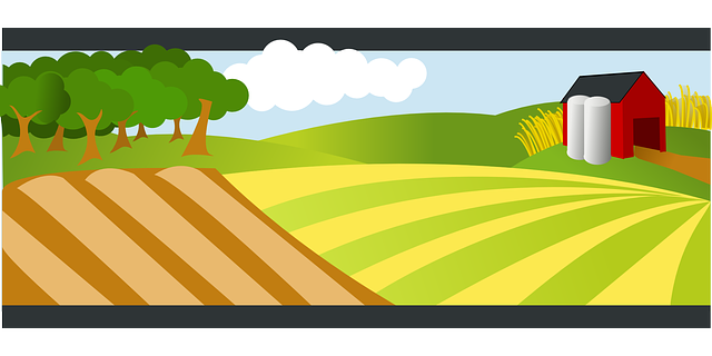 Farm Shed, 