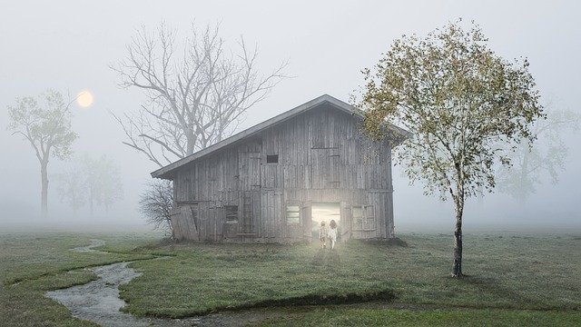 Farm Shed, 