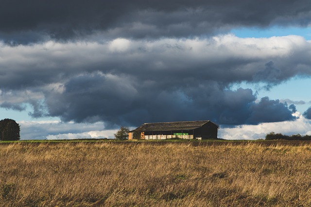 Farm Shed, 