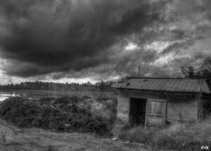 Steel vs Wooden Farm Sheds: A Comprehensive Comparison for Wagga’s Agricultural Needs