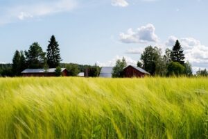 Optimizing Agriculture with Durable Steel Farm Sheds in Orange