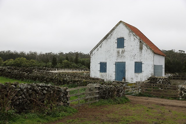 Farm Shed, 