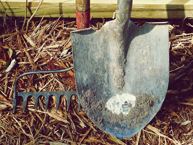 farm-shed-640x480-93658056.jpeg
