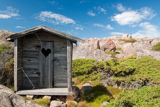 Farm Shed, 