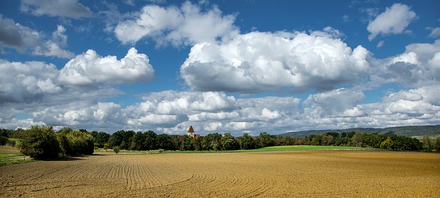 Farm Shed, 