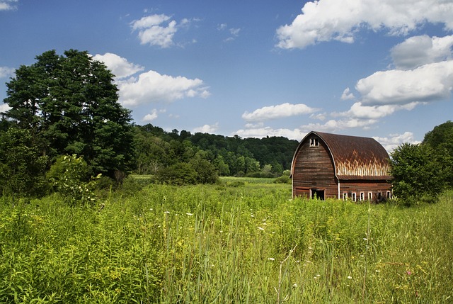 Farm Shed, 