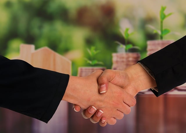 homes, real estate agent, 