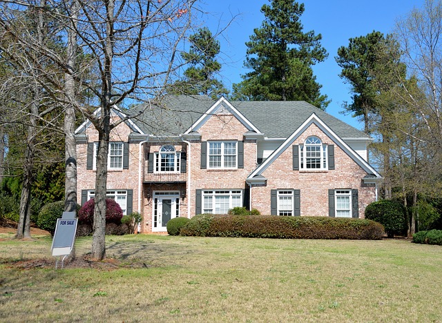 homes, real estate agent, 