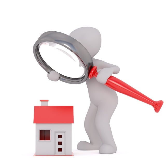 homes, real estate agent, 