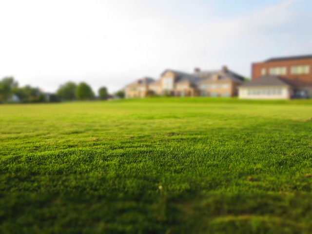 homes, real estate agent, 