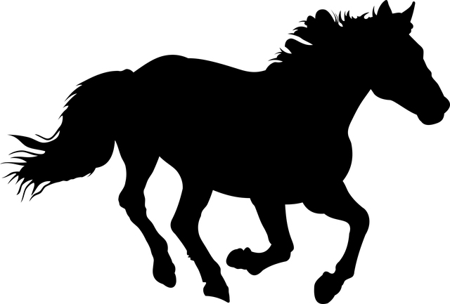 horse-horse-rope-640x480-1066884.png