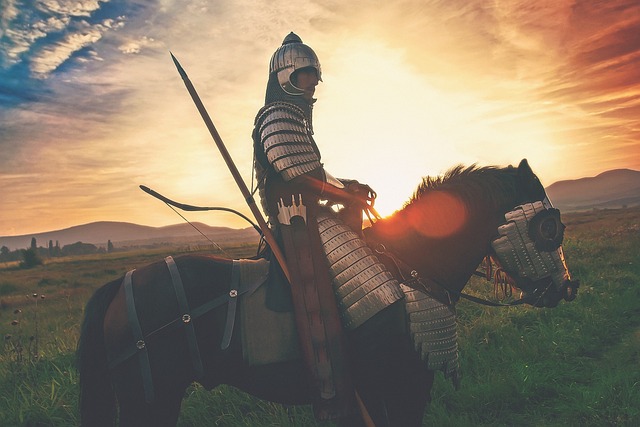 horse-horse-rope-640x480-4749211.jpeg