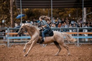 horse-horse-rope-640x480-93976192.jpeg