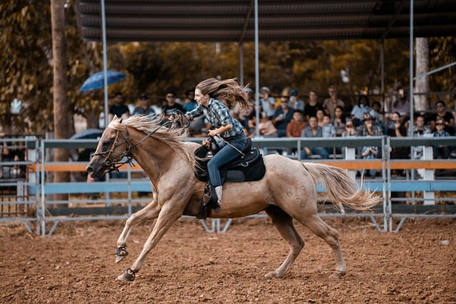 horse-horse-rope-640x480-93976192.jpeg