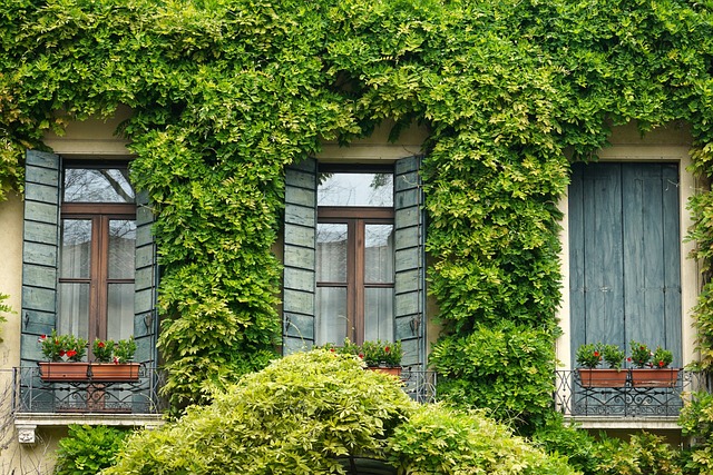 house for sale Australia,  expensive homes