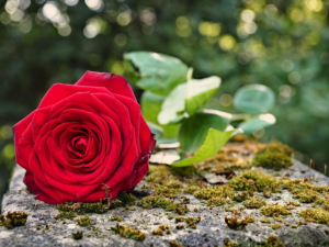 Community Care: Local Funeral Directors & Accessible Memorial Planning