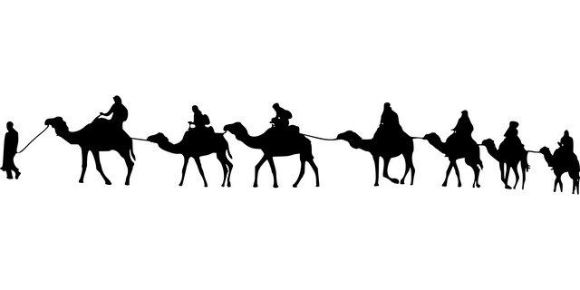 npressfetimg-1469.png