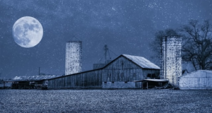 Choosing Your Ideal Shed Builder in Bathurst: A Guide to Expert Steel and Custom Solutions