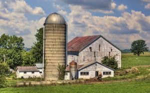 Tailored Storage Solutions: Exploring Custom Shed Options for Home, Work, and Industry in Bathurst