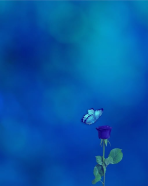 npressfetimg-2121.png