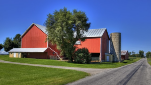 Customized Storage Excellence: Steeline Bathurst’s Approach to Personalized Steel Sheds